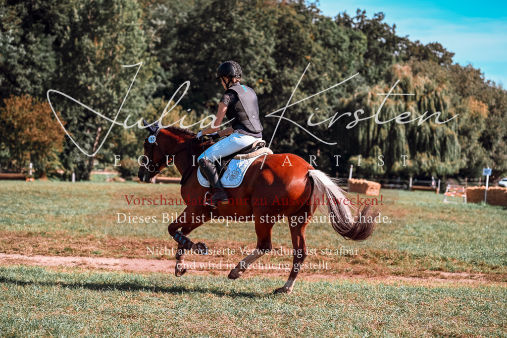 DSC_0930 | Pferde- und Turnierfotografie in Westsachsen. Pferdeportraits, Auftragszeichnungen und intuitive Kunst.