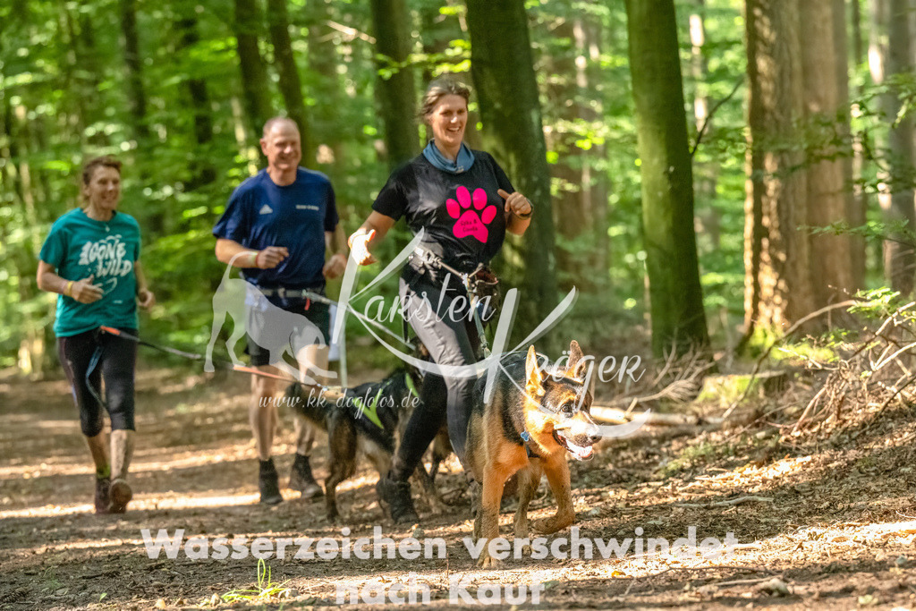 1356_ZZ93959-Bearbeitet | kk-dogfotos