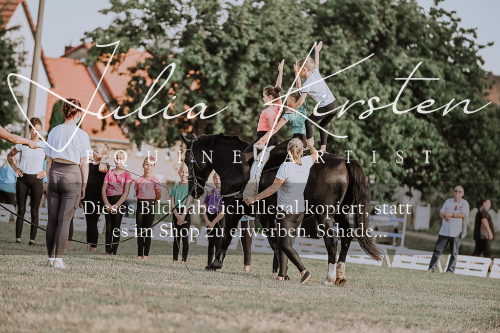 DSC_0022 | Pferde- und Turnierfotografie in Westsachsen. Pferdeportraits, Auftragszeichnungen und intuitive Kunst.