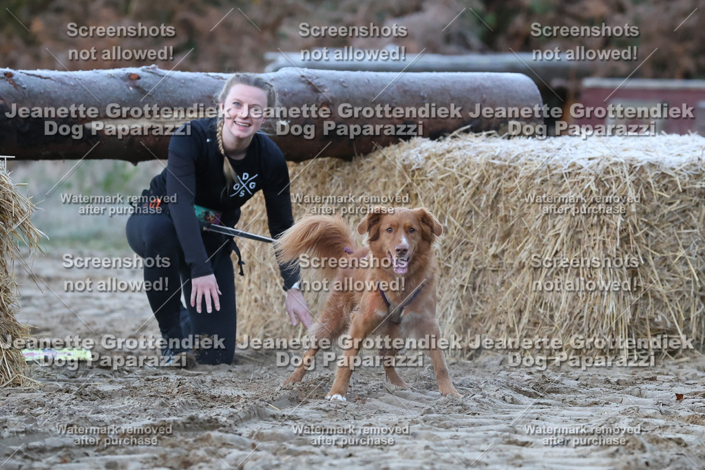 Dog Paparazzi - Strongdog 10-25-64 | Dog Paparazzi Jeanette Grottendiek Fotografie & Videografie - Realisiert mit Pictrs.com