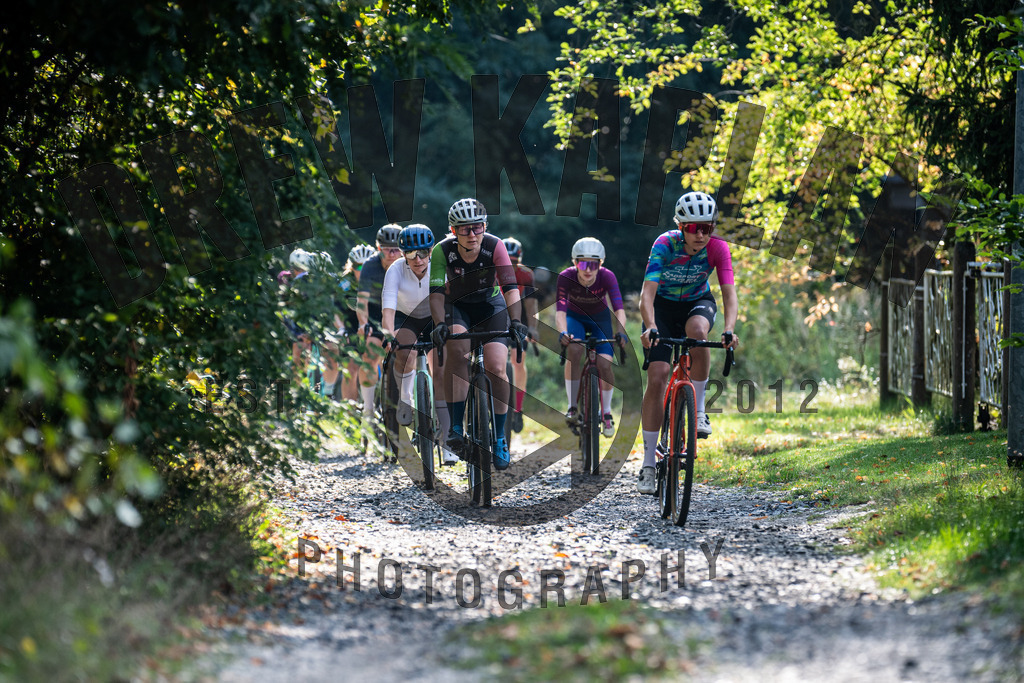 DKP-1016 | Drew Kaplan Photography