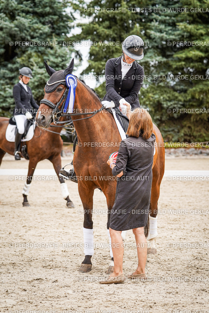 DSC04763 | Pferdegrafie