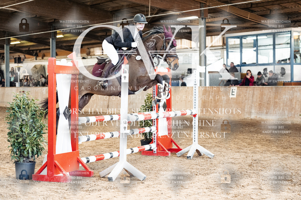 CK905142 | Turnierfotografie Pferdefotografie Trier Rheinland-Pfalz Pferdesport Reitsport Tierfotografie Sportfotografie Pferdevideo Pferdevideografie Equestrianvideography equestrianphotography  - Realized with Pictrs.com