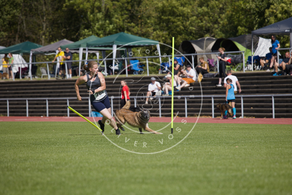 0L8A6940 | Hundefotografie, Tierfotograf, Pfotenfotografie, Fotoshooting Hund, Hunde Portrait, Hundesport, Hundeportraits, Heideshooting, Hunde, Sportfotograf, Hundefotograf, Turnierhundsport, THS,  - Realisiert mit Pictrs.com