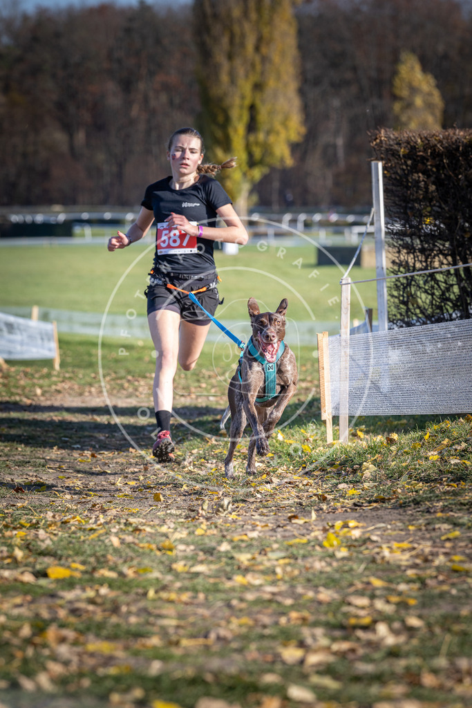 CaniXpix_DV3A9167 | Hundefotografie, Tierfotograf, Pfotenfotografie, Fotoshooting Hund, Hunde Portrait, Hundesport, Hundeportraits, Heideshooting, Hunde, Sportfotograf, Hundefotograf, Turnierhundsport, THS,  - Realisiert mit Pictrs.com