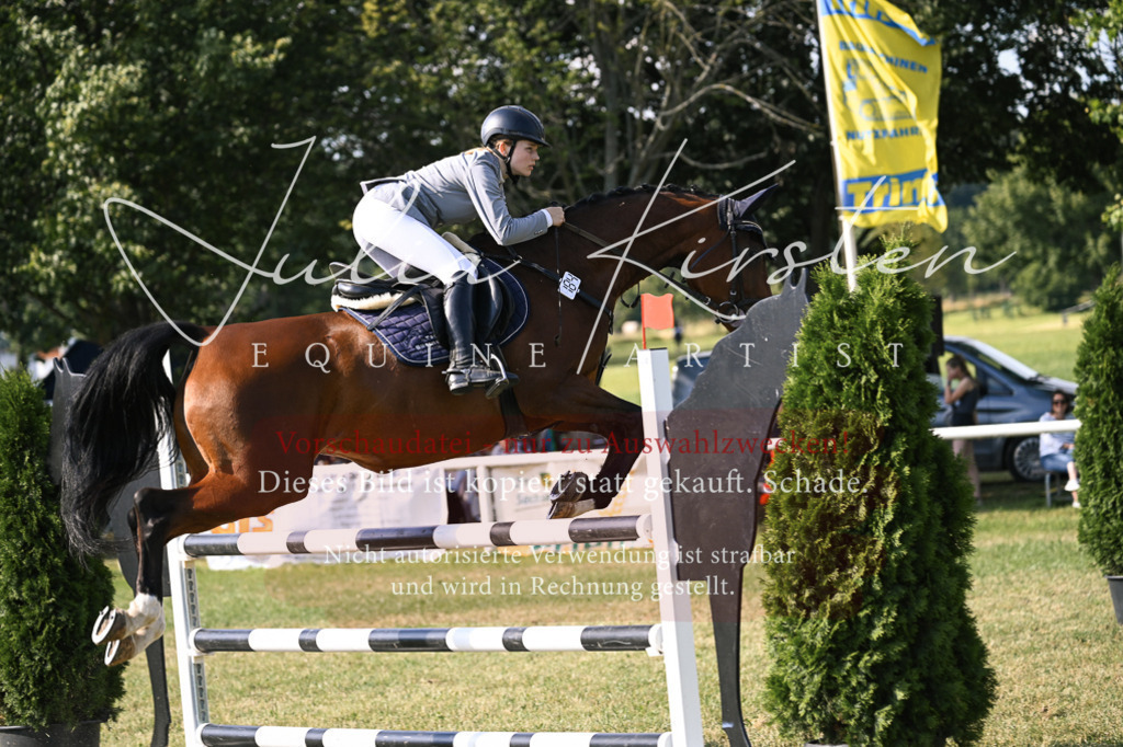DSC_1347 | Pferde- und Turnierfotografie in Westsachsen. Pferdeportraits, Auftragszeichnungen und intuitive Kunst.