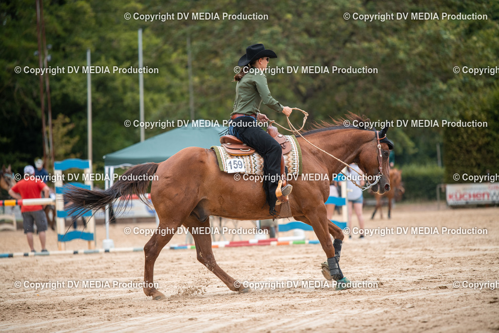 ZS2_8364 | dv-media-shop - Realisiert mit Pictrs.com