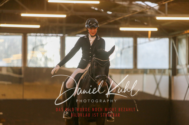 IMG_7286 | Turniersportfotografie; Pferdefotografie; Dressurfotografie