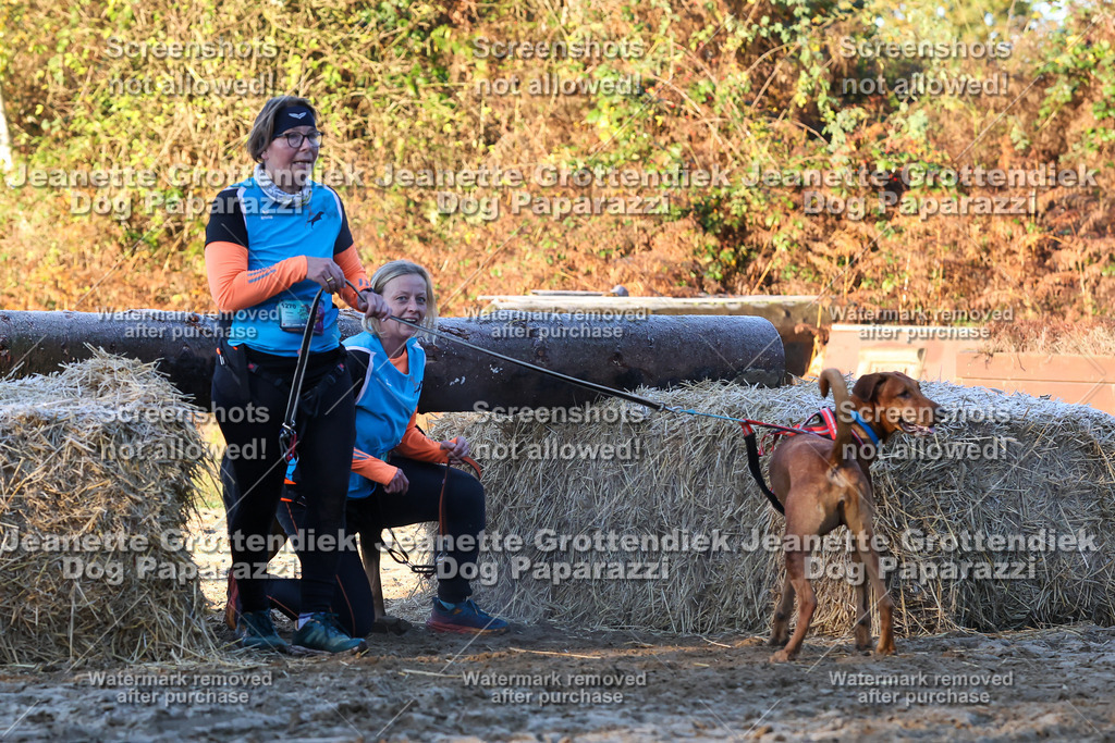 Dog Paparazzi - Strongdog 10-25-618 | Dog Paparazzi Jeanette Grottendiek Fotografie & Videografie - Realisiert mit Pictrs.com