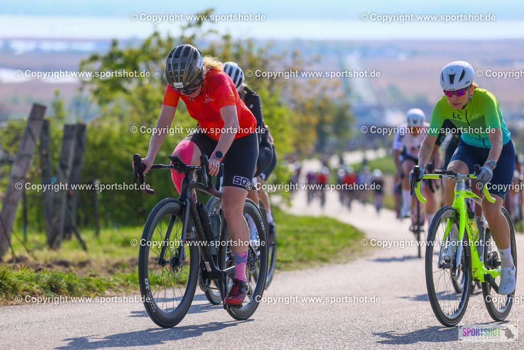 TRA_0289 | Neusiedlersee Radmarathon 2026@sportshot_your_pictrs #yourpictures#roadtowm2029 #nrm #neusiedlerseeradmarathon #neusiedlersee #neusiedlerseetourismus #burgenland #mörbisch #nrm26 #burgenlandtourismus #voglundco #poweredbyburgenlandtourismus #radsport #rad #marathon #ucigranfondo #visitburgenland #ucigranfondoworldseries