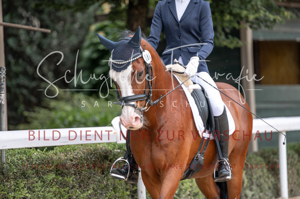 Schugtsche-Aluta25-41.Amat-Dressurprf.A_-132 | Schugtsche Fotografie - Realisiert mit Pictrs.com