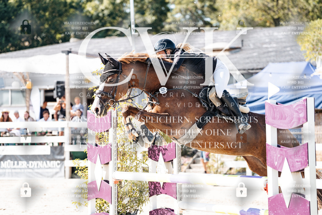 CK907791 | Turnierfotografie Pferdefotografie Trier Rheinland-Pfalz Pferdesport Reitsport Tierfotografie Sportfotografie Pferdevideo Pferdevideografie Equestrianvideography equestrianphotography  - Realisiert mit Pictrs.com