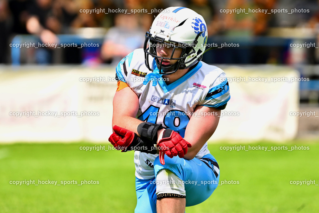 Carinthian Lions vs. Styrian Bears | Carinthian Lions vs. Styrian Bears, Carinthian Lions vs. Styrian Bears am 20.05.2024 in Klagenfurt (ASV Sportplatz), Austria, (Photo by Bernd Stefan)