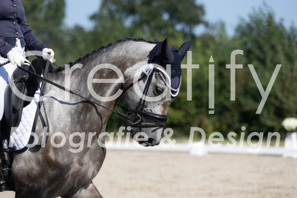 IMG_5451 | Creatify Fotografie