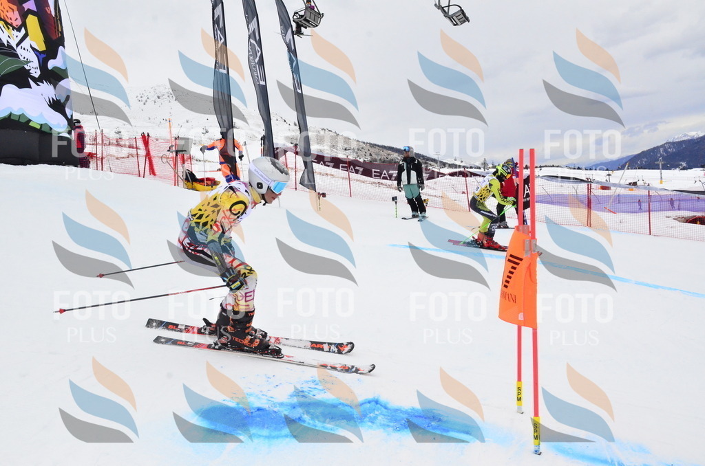 _ELE4134 | holidayphoto