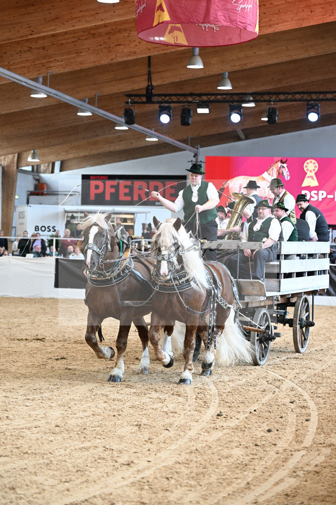 Schauprogramm Sueddeutsches Kaltblut_Schelle_2251616 | hf-fotografie - Realisiert mit Pictrs.com