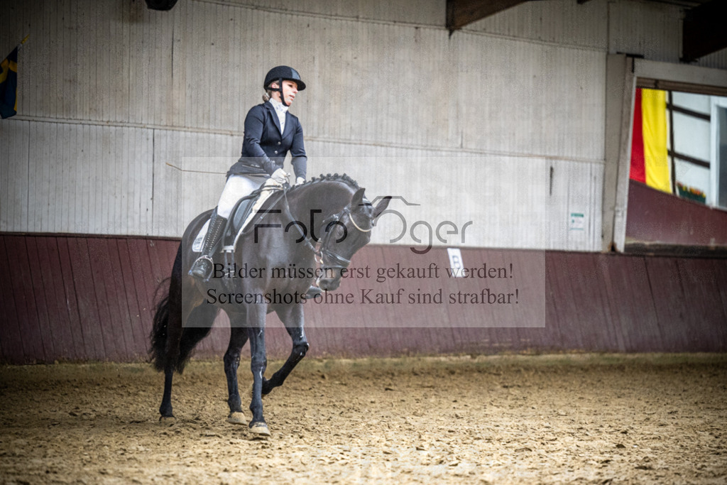 DOS_1163 | Reitturnier Lüdinghausen - Realisiert mit Pictrs.com