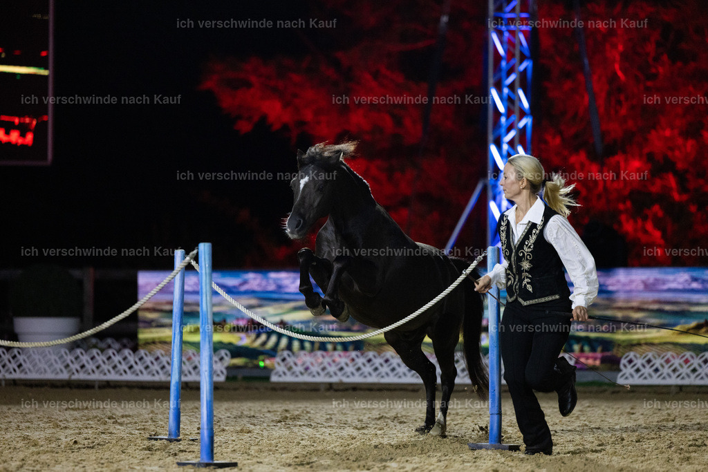 FHClassics-250 | working equitationturnier fotograf videograf stoibphotography marixx film working equitation deutschland reitsport turnierfotografie eventfotografie equestrian events
