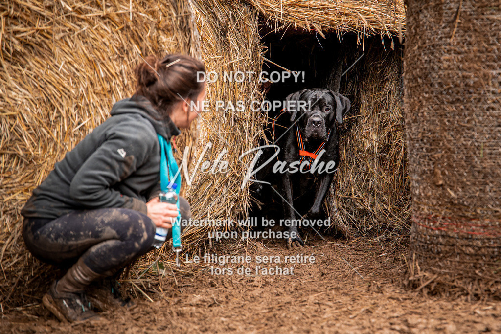 nelerasche_Hunsrück_So09-11_324 | nelerasche
