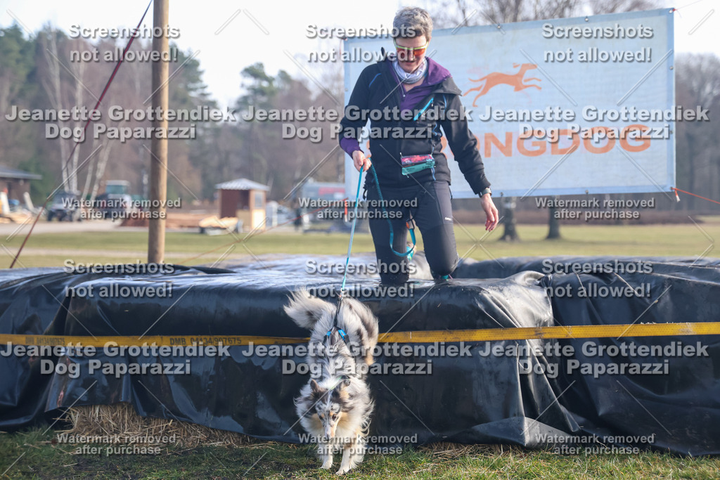 Dog Paparazzi - Strongdog North Mrz26-598 | Dog Paparazzi Jeanette Grottendiek Fotografie & Videografie - Realisiert mit Pictrs.com