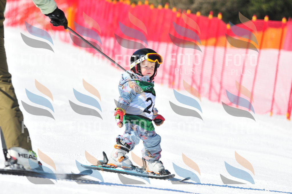 C2563 | holidayphoto