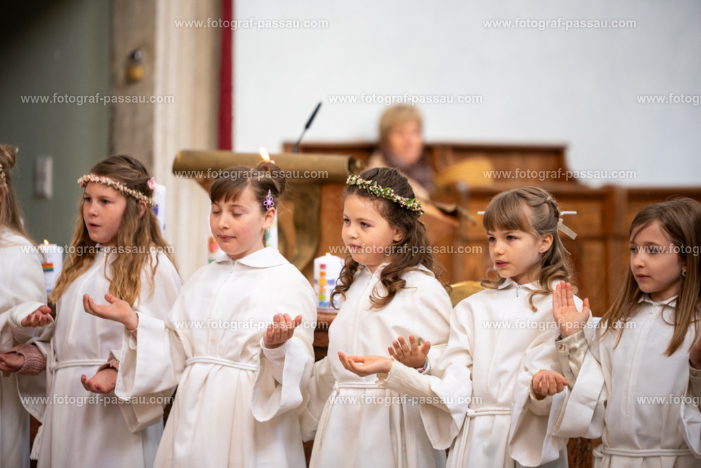 _DSC2675 | Hier finden Sie die Online Foto-Galerie von fotograf-passau.com und marius-handrugan.de. Suchen Sie sich direkt Ihre Lieblingsbilder aus, ob als Ausdruck oder Download. - Realisiert mit Pictrs.com
