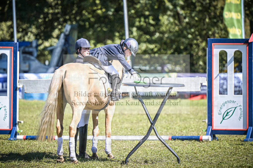 DOS_0244 | Entdecke hochwertige Reitturnierfotos von Foto Oger. Professionell, emotional und authentisch – jetzt Lieblingsmomente im Shop bestellen.Deutschlandweite Turnierfotografie. - Realisiert mit Pictrs.com