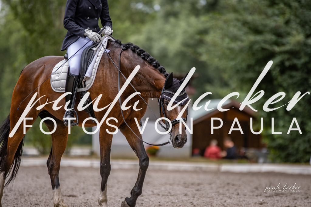 IMG_6308 | Erleben Sie dynamische Sport- und emotionale Tierfotografie in Süddeutschland mit Fotos von Paula. Spezialisiert auf Pferde- und Hundefotografie sowie Sportevents. Kontaktieren Sie mich für einzigartige und ausdrucksstarke Bilder Ihrer besonderen Momente. - Realisiert mit Pictrs.com