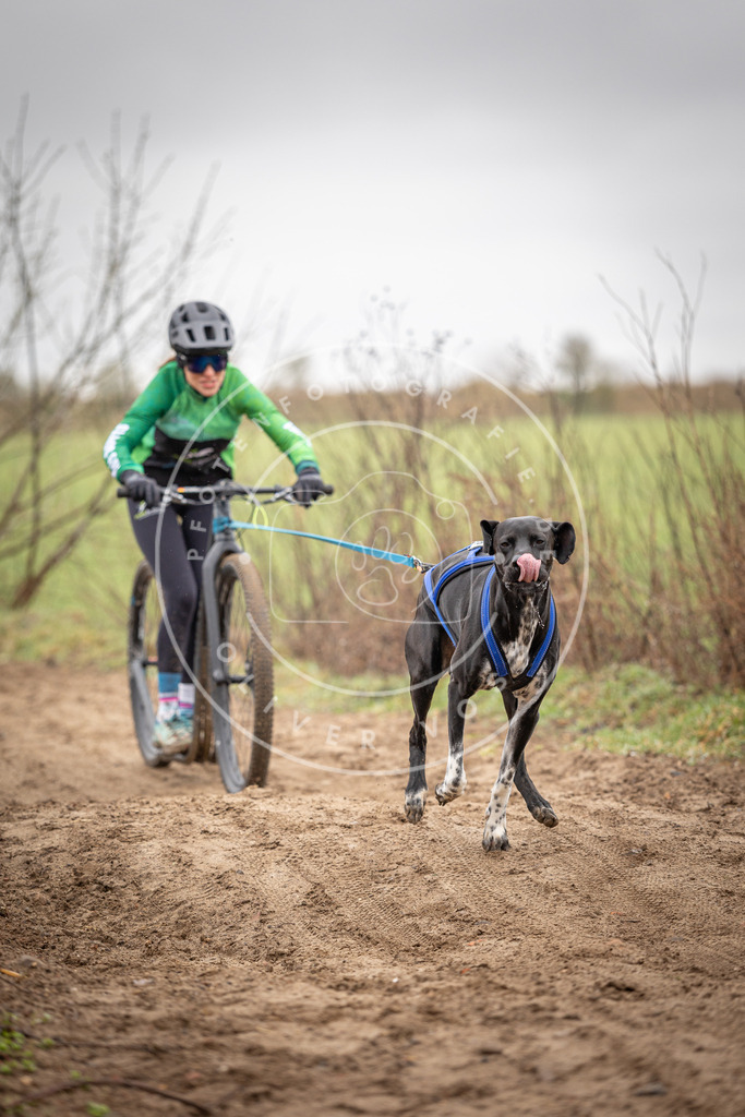 DV3A9182 | Hundefotografie, Tierfotograf, Pfotenfotografie, Fotoshooting Hund, Hunde Portrait, Hundesport, Hundeportraits, Heideshooting, Hunde, Sportfotograf, Hundefotograf, Turnierhundsport, THS,  - Realisiert mit Pictrs.com