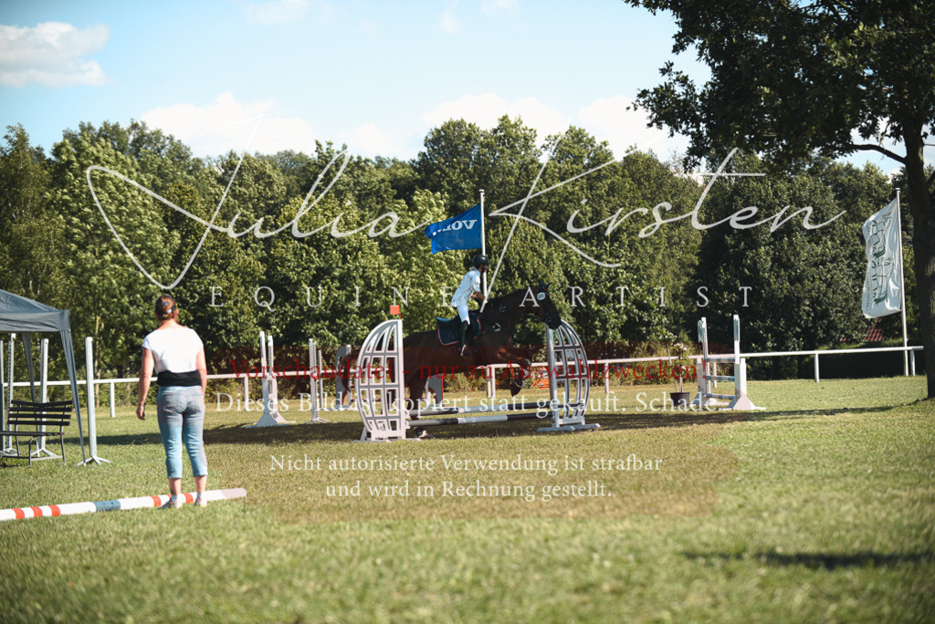 DSC_7612 | Pferde- und Turnierfotografie in Westsachsen. Pferdeportraits, Auftragszeichnungen und intuitive Kunst.