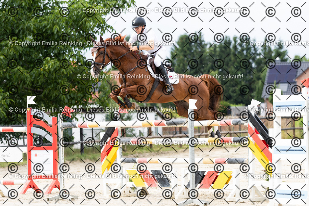 CL5A8001 | Emilia Reinking Fotografie - Realisiert mit Pictrs.com