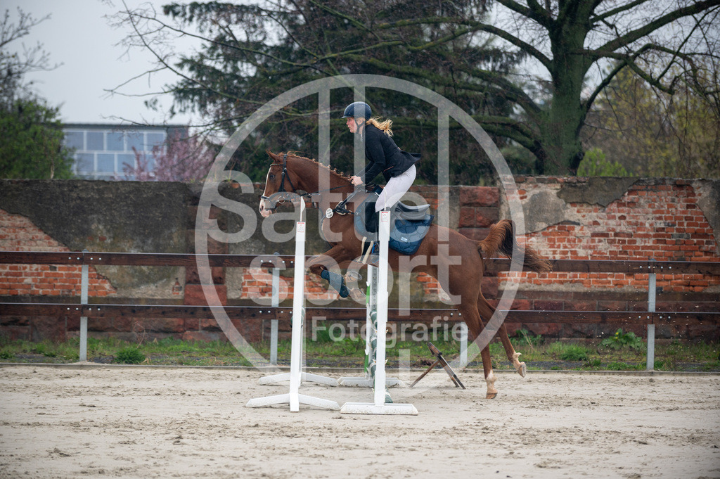 DSC_8658 | sattelsport - Realisiert mit Pictrs.com