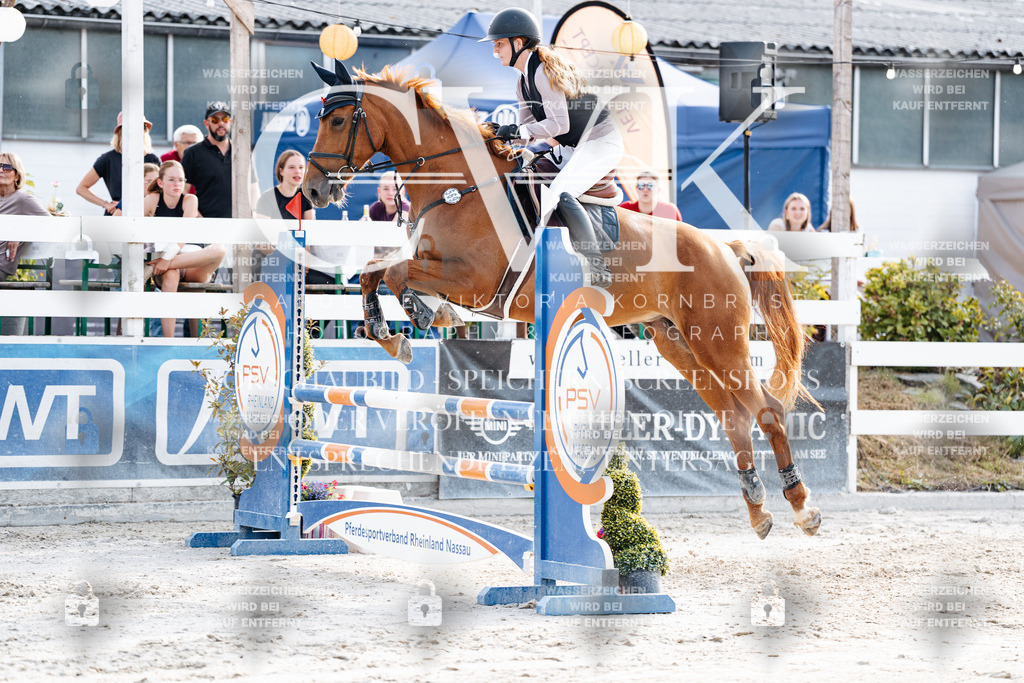 CK906344 | Turnierfotografie Pferdefotografie Trier Rheinland-Pfalz Pferdesport Reitsport Tierfotografie Sportfotografie Pferdevideo Pferdevideografie Equestrianvideography equestrianphotography  - Realisiert mit Pictrs.com