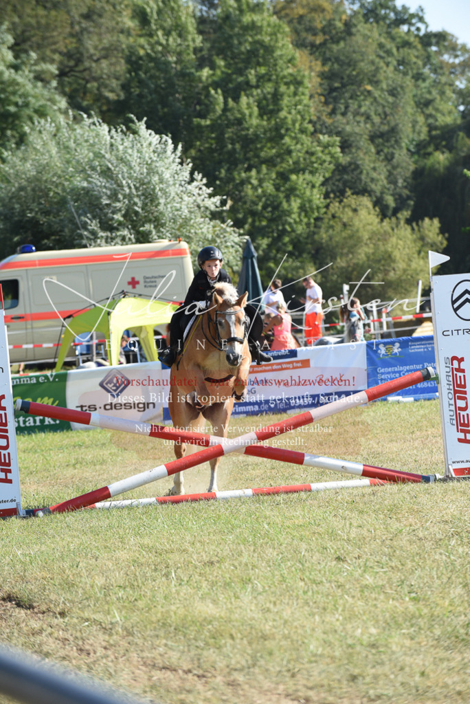 DSC_5799 | Pferde- und Turnierfotografie in Westsachsen. Pferdeportraits, Auftragszeichnungen und intuitive Kunst.