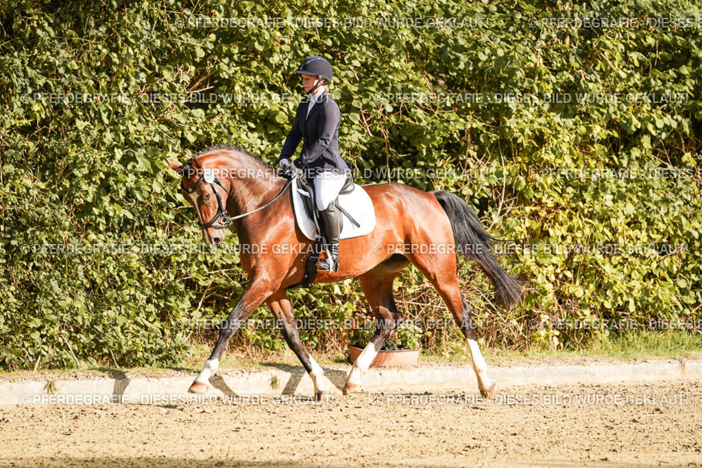 DSC05424 | Pferdegrafie