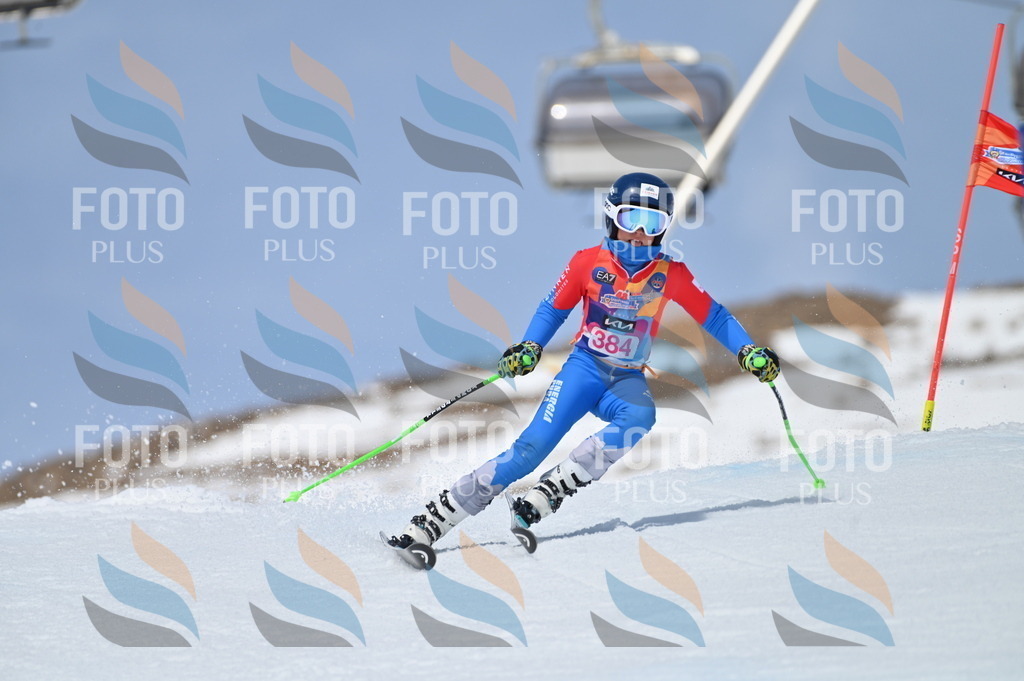 BGV_4244 | holidayphoto