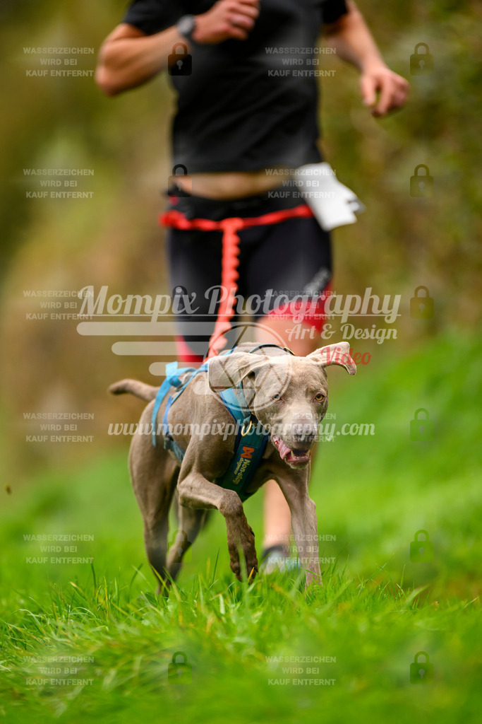 MompixPhotography_20TSB_E8_Run-89 | PayLife