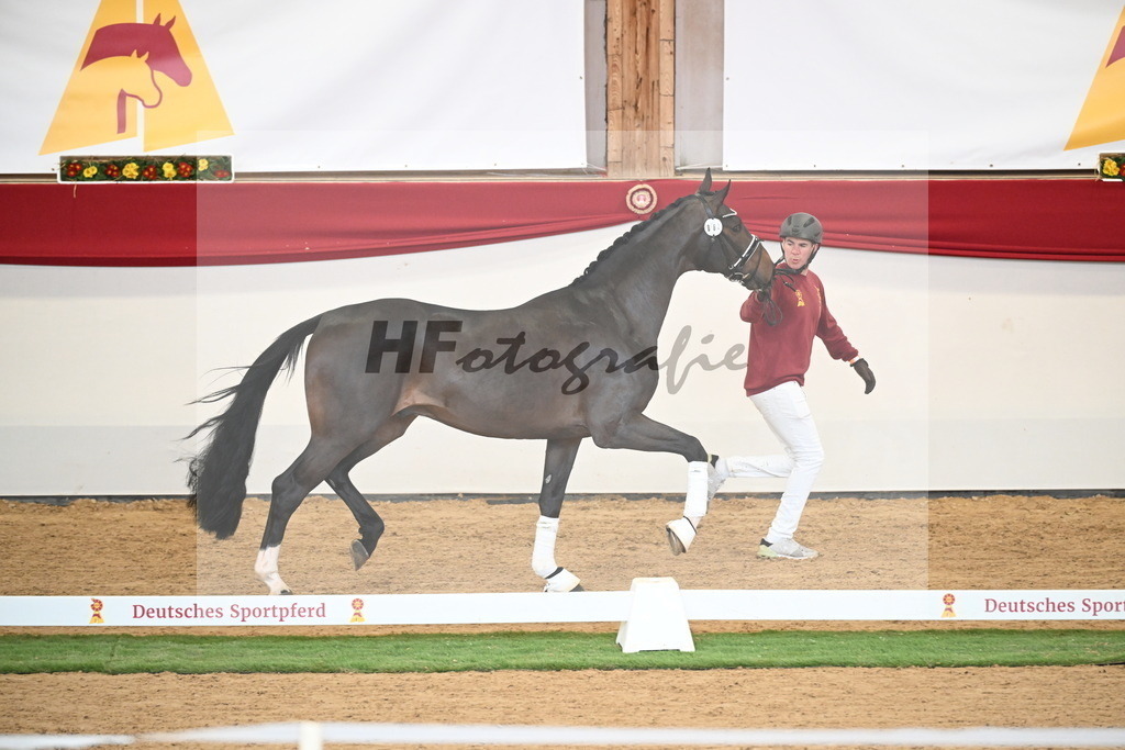 Kat.-Nr. 63 v. Foundation_Schafhof _ Jäckel_2250433 | hf-fotografie - Realisiert mit Pictrs.com