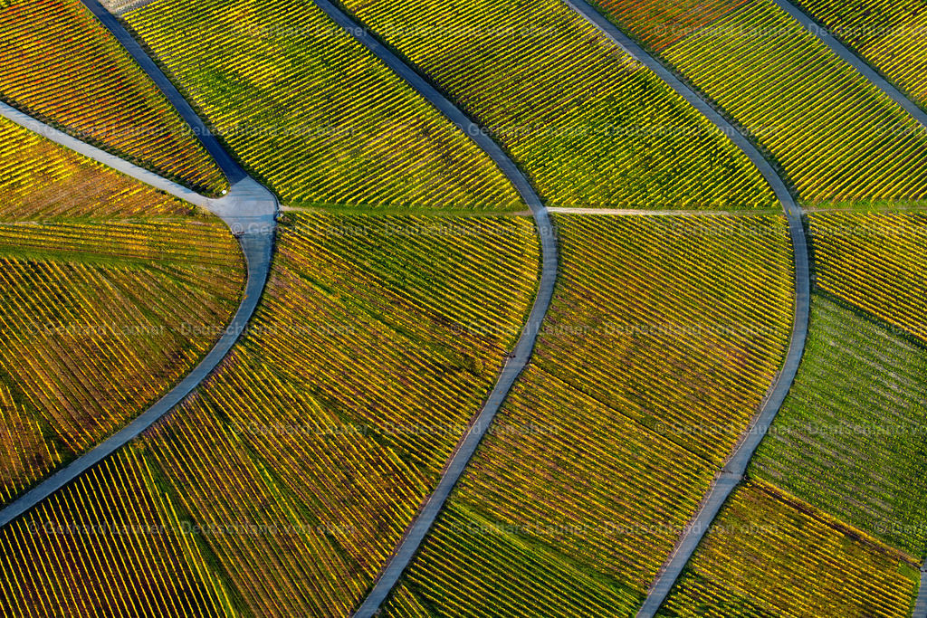 3905502 | Weinberge am Busigberg Großheubach