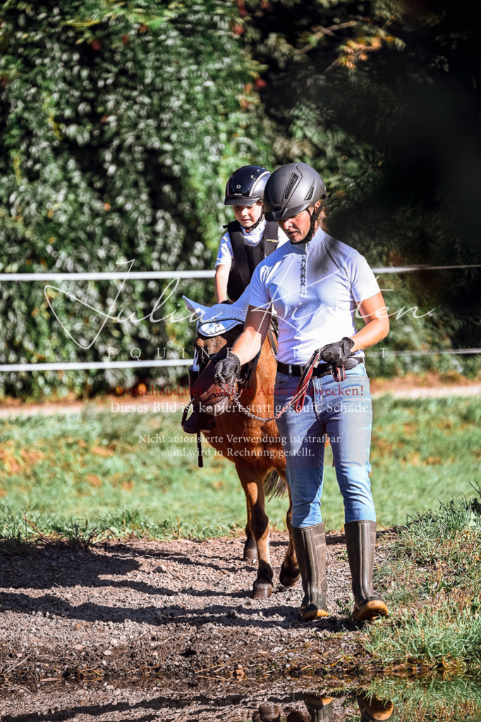 DSC_0480 | Pferde- und Turnierfotografie in Westsachsen. Pferdeportraits, Auftragszeichnungen und intuitive Kunst.