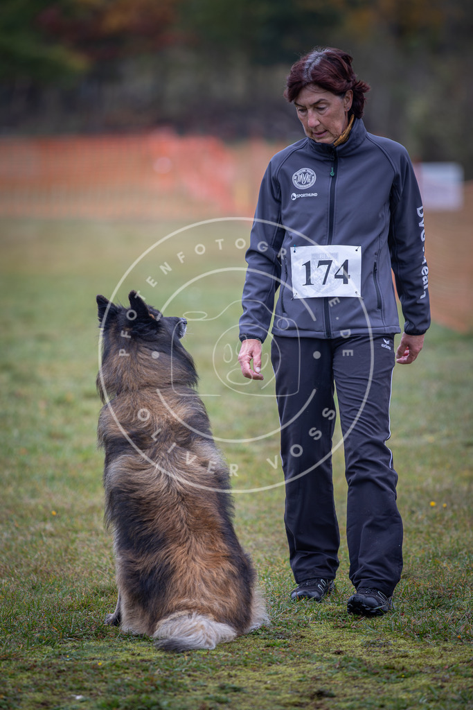 Pfotenfotografie_DV3A9285 | Hundefotografie, Tierfotograf, Pfotenfotografie, Fotoshooting Hund, Hunde Portrait, Hundesport, Hundeportraits, Heideshooting, Hunde, Sportfotograf, Hundefotograf, Turnierhundsport, THS,  - Realisiert mit Pictrs.com