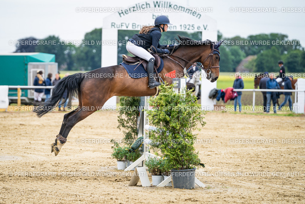 DSC06202 | Pferdegrafie