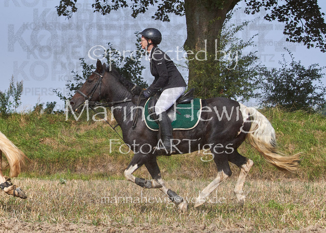 09-23 Jagd Perdöl_MCH0045_Marina Hewig | Fotografie, FotoArt, PferdesportArt, Pferdesportfotografie, Landschaftsfotografie, Reisefotografie, Reise, Pferde - Realisiert mit Pictrs.com