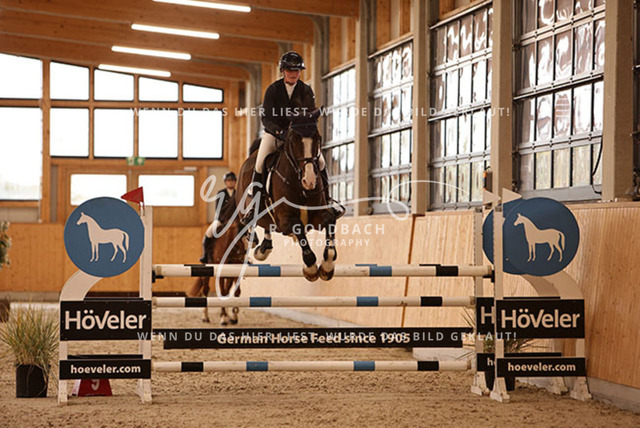 1J2A6810Franziska Klöpper_ Cetellus_ Kn110_ Glantz_ Hohen Wieschendorf | Foto- und Videografie für alles rund ums Pferd. Hochwertige Bilder und Videos vom Spring- und Dressurreiten, Voltigieren & mehr. Jetzt aktuelle Veranstaltungen und Preise im Shop ansehen. - Realisiert mit Pictrs.com