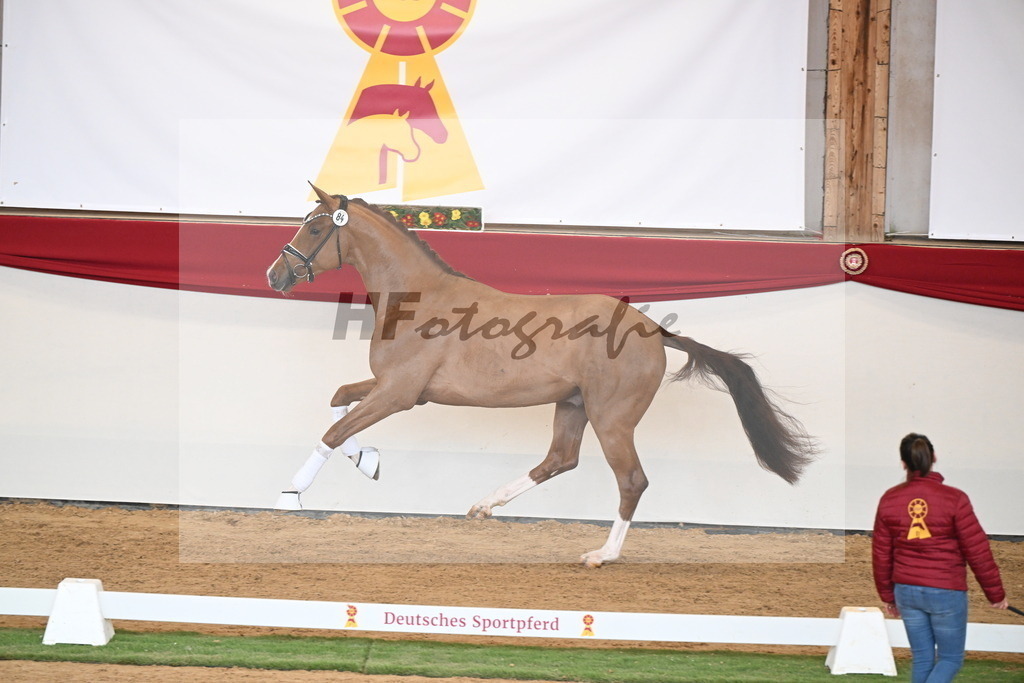Kat.-Nr. 84 v. Vaderland_van den Oetelaar_2250811 | hf-fotografie - Realisiert mit Pictrs.com