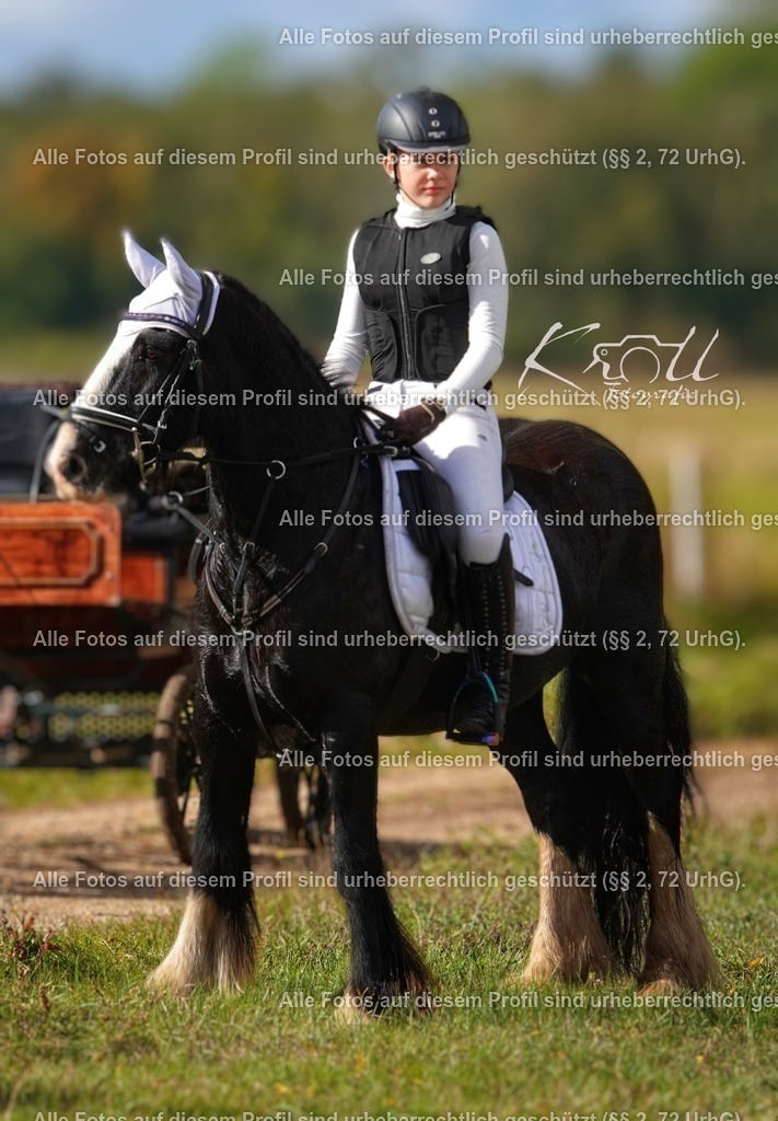 Photo_1696791755113 | krollfotografie - Realisiert mit Pictrs.com