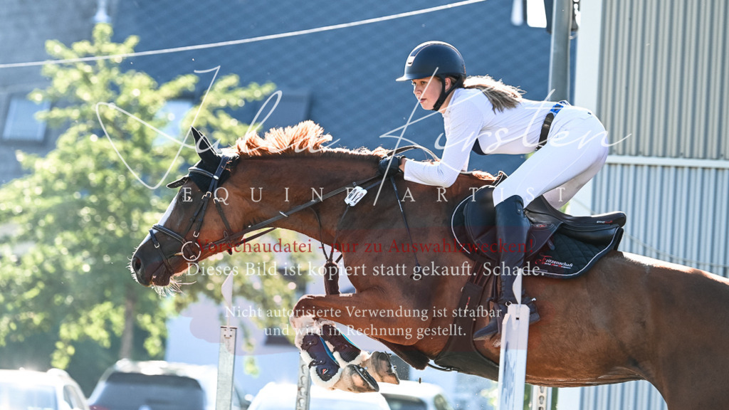 DSC_2786 | Pferde- und Turnierfotografie in Westsachsen. Pferdeportraits, Auftragszeichnungen und intuitive Kunst.