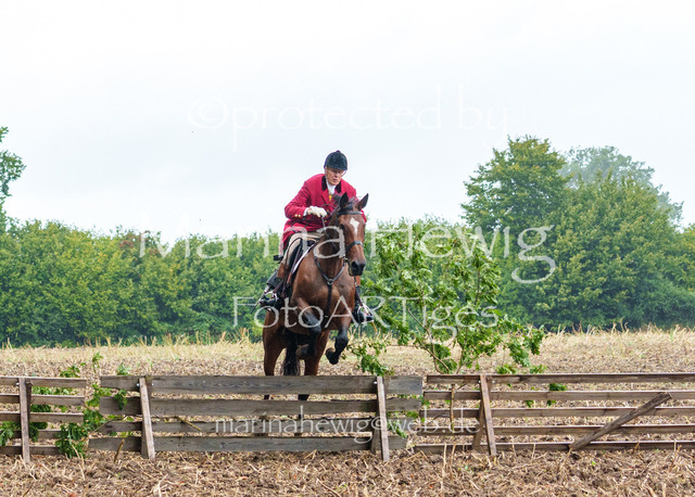 Jagd Kletkamp 26-03008_MarinaHewig | Fotografie, FotoArt, PferdesportArt, Pferdesportfotografie, Landschaftsfotografie, Reisefotografie, Reise, Pferde - Realisiert mit Pictrs.com
