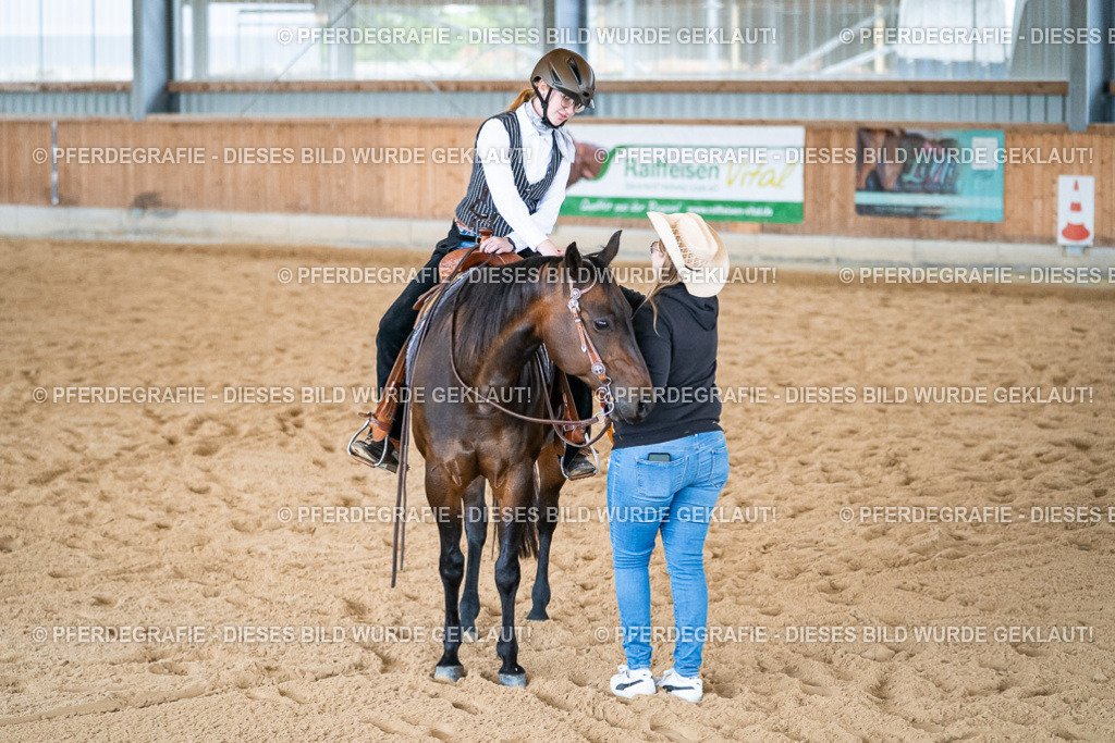 DSC01424 | Pferdegrafie