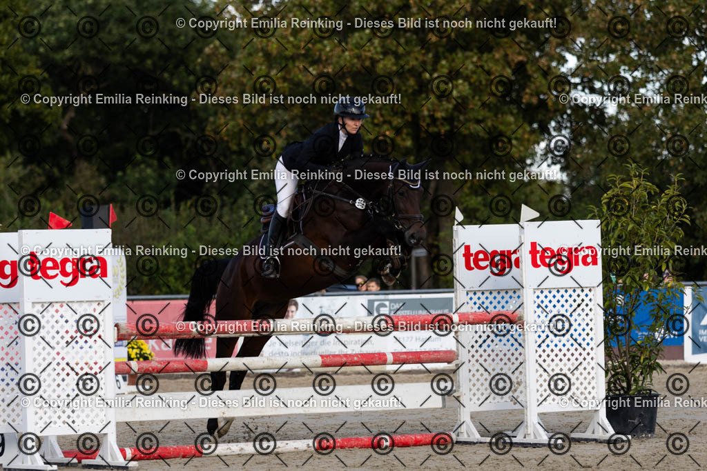 CL5A4300 | Emilia Reinking Fotografie - Realisiert mit Pictrs.com